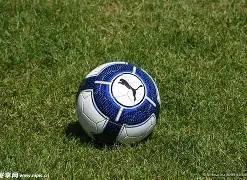 董事会通过,马克,沃尔特,大发彩票,大发彩票官方平台,大发彩票APP下载,大发彩票开奖结果,大发彩票正规