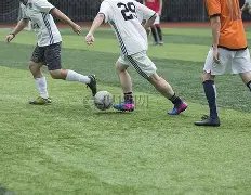 识别黄金曼,特宁,与普通曼特,大发彩票,大发彩票官方平台,大发彩票APP下载,大发彩票开奖结果,大发彩票正规