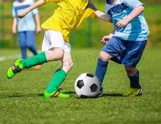 揭秘,期欧阳宵大,乐透独家六,大发彩票,大发彩票官方平台,大发彩票APP下载,大发彩票开奖结果,大发彩票正规