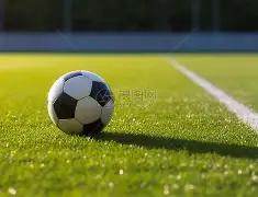 彩运佳期,期双色球,精准预测,大发彩票,大发彩票官方平台,大发彩票APP下载,大发彩票开奖结果,大发彩票正规