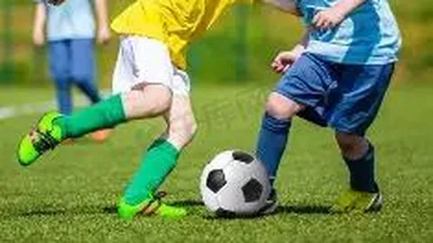 “识别黄金曼特宁：与普通曼特宁有何差异？”