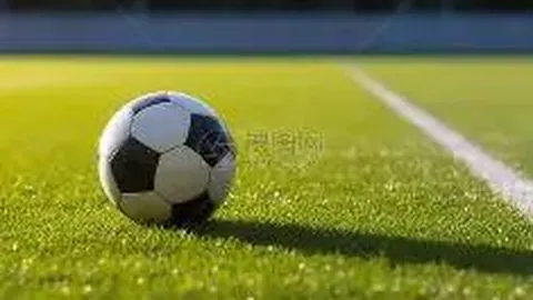 【彩运佳期】2026年1月15期双色球，精准预测：神秘蓝球号码02揭晓！🌟