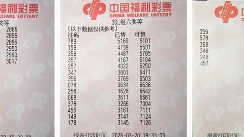 福彩3D第2026053期和值走势预测及个位胆码推荐