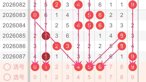 福彩快乐8第2026094期专家质合推荐分析