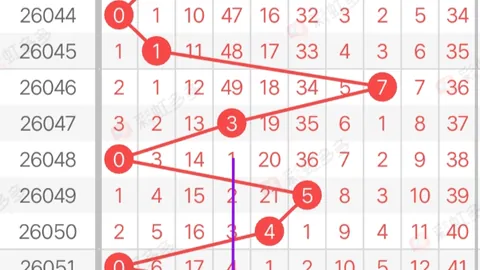 26020期大乐透专家推荐：质合分析定胆09 11 23