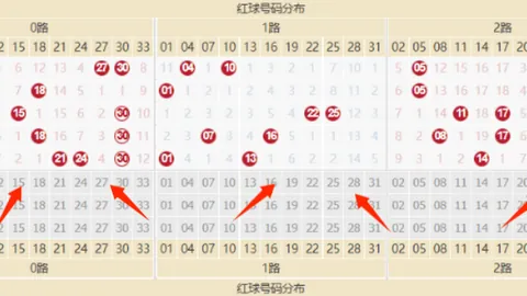 云涛双色球第2026029期推荐：奇偶比2_4精选分析